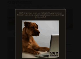 Madacc.org thumbnail