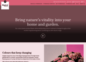 Magicalhydrangea.com thumbnail