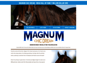 Magnumchicdream.com thumbnail