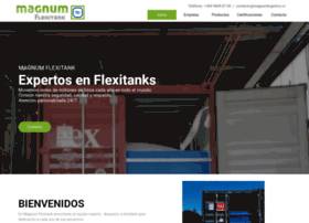 Magnumlogistics.cl thumbnail