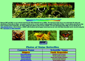 Mainebutterflies.com thumbnail