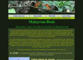 Malaysianbirds.com thumbnail