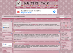 Maltesetalk.com thumbnail