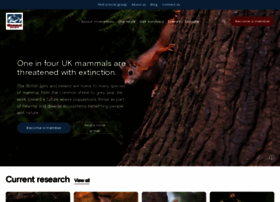 Mammal.org.uk thumbnail Mammal.org.uk thumbnail
