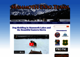Mammothdogteams.com thumbnail