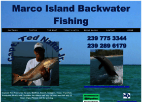 Marcoislandbackwaterfishing.com thumbnail