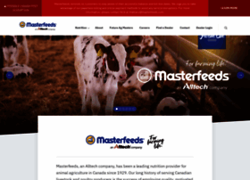 Masterfeeds.com thumbnail