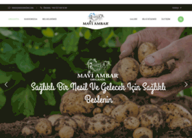 Maviambar.com thumbnail