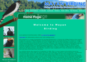 Mayanbirding.com thumbnail