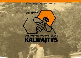 Mazurskapasieka.pl thumbnail