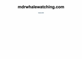 Mdrwhalewatching.com thumbnail