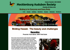 Meckbirds.org thumbnail
