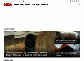 Megamn.com thumbnail