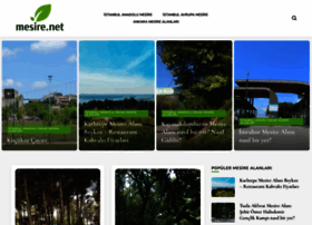 Mesire.net thumbnail