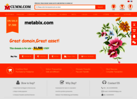 Metabix.com thumbnail
