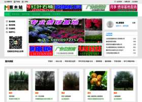 Miaomuzhan.com thumbnail