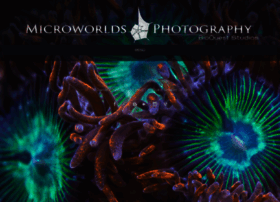 Microworldsphotography.com thumbnail