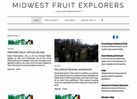 Midfex.org thumbnail