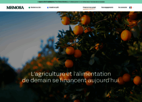 Miimosa.com thumbnail