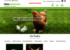 Millerhatcheries.com thumbnail
