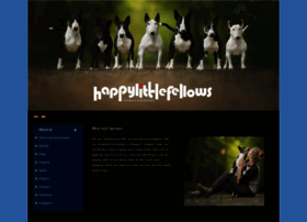 Miniatuurbullterriers.nl thumbnail Miniatuurbullterriers.nl thumbnail