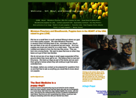 Minpin-bloodhound-pug-puppies.com thumbnail
