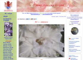 Mirgladiolus.ru thumbnail Mirgladiolus.ru thumbnail