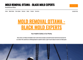 Mold-removals-ottawa.com thumbnail