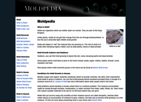 Moldpedia.com thumbnail
