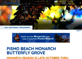Monarchbutterfly.org thumbnail