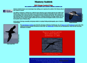 Montereyseabirds.com thumbnail