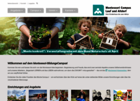 Montessori-lauf.de thumbnail