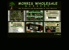Morriswholesale.com thumbnail