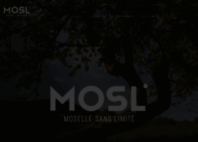 Moselle-tourisme.com thumbnail