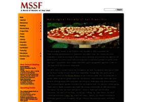 Mssf.org thumbnail