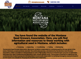Mtseedgrowers.org thumbnail