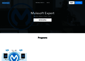 Mulesoftexpert.com thumbnail