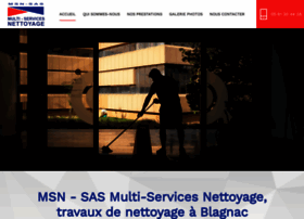 Multi-services-nettoyage-msn.fr thumbnail