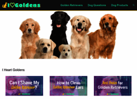 My-golden.com thumbnail