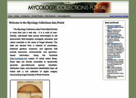 Mycoportal.org thumbnail