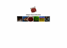 Mylawyer.club thumbnail