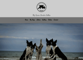 Myqueenbordercollies.pl thumbnail Myqueenbordercollies.pl thumbnail
