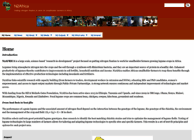 N2africa.org thumbnail