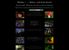 Nafoku.de thumbnail