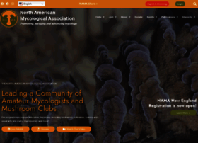 Namyco.org thumbnail