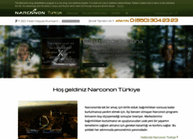 Narconon-turkiye.org thumbnail