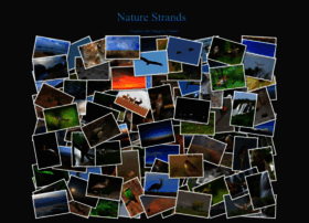Naturestrands.com thumbnail