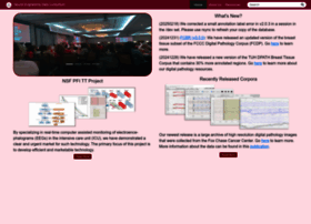Nedcdata.org thumbnail