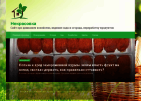 Nekrasowka.ru thumbnail