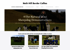 Nethhillbordercollies.co.uk thumbnail